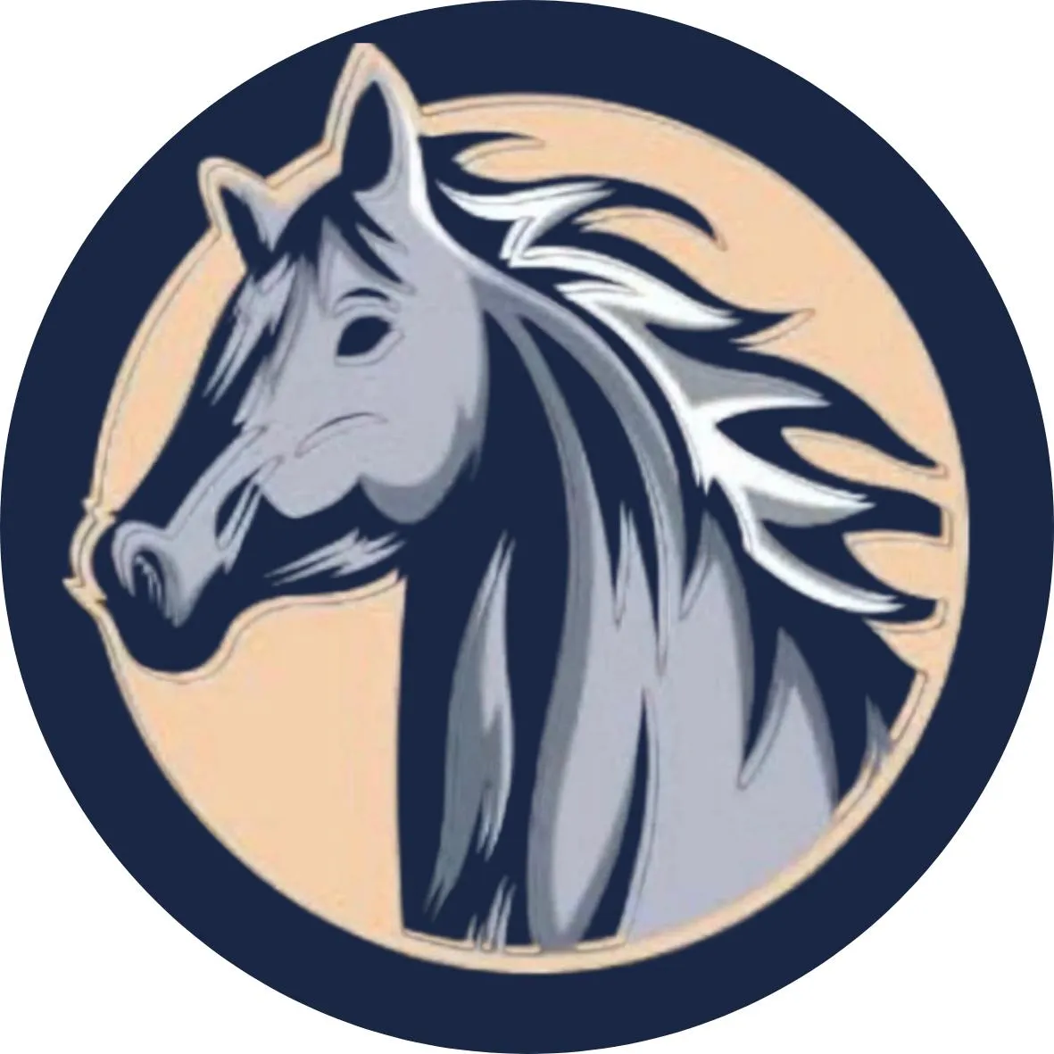 Sarah Münkel Logo